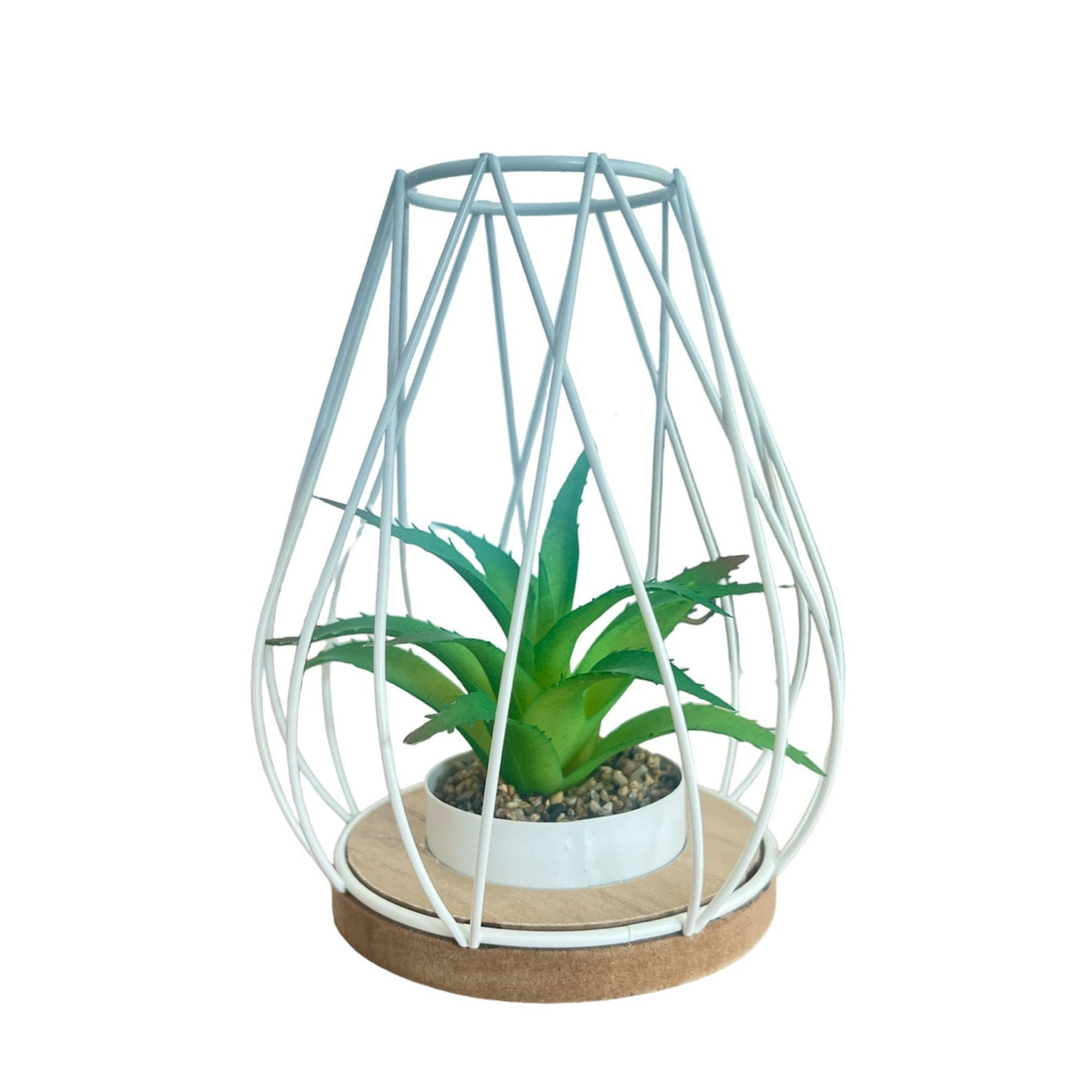 Oem - Adorno Decorativo Jaula Con Planta Decoracion Savila