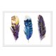 thumbnail image 1 of Cuadro Plumas Colores con Marco Blanco, 1 of 1