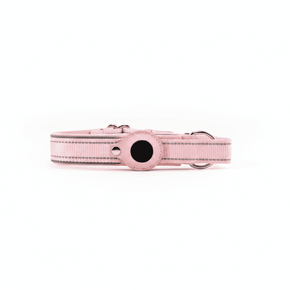 Collar de Perro con Soporte GPS Localizador