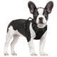 thumbnail image 1 of Arnés para perros Rabbitgoo, arnés para mascotas sin tirones, negro, S, 1 of 9