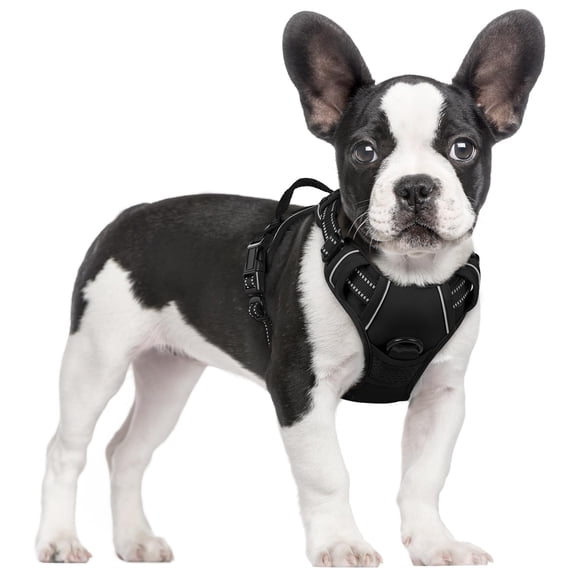 Arnés para perros Rabbitgoo, arnés para mascotas sin tirones, negro, S
