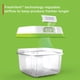 thumbnail image 2 of Contenedores de almacenamiento Rubbermaid FreshWorks Saver de 4,6 tazas, 2 of 6