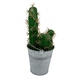 thumbnail image 2 of Cactus Artificial Verde Artesanal Hogar Y Decoración, 2 of 4