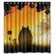 thumbnail image 1 of Cortina de ducha de baño con diseño de anime japonés Totoro y puesta de sol, con ganchos, tamaño 66 x 72 pulgadas, 1 of 3