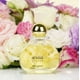 thumbnail image 3 of Perfume Sexual Secret De 75 Ml, 3 of 6