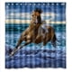 thumbnail image 1 of Cortina de ducha clásica de caballo corriendo, juego de cortina de baño con ganchos, tamaño 66 x 72 pulgadas, 1 of 3