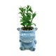 thumbnail image 1 of Planta Artificial Macetero Hipopotamo, 1 of 3