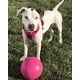 thumbnail image 2 of Pelota de juguete para perros Jolly Pets Bounce-n-Play de 8 pulgadas, rosa, 2 of 2