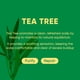 thumbnail image 2 of Champú En Barra Tea Tree 2 0 Hidratante 120 G, 2 of 3