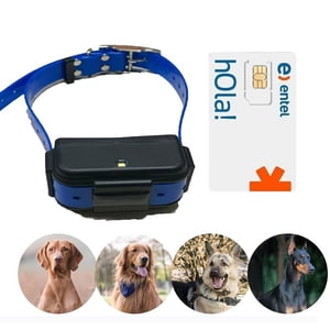 Rastreador Gps Para Mascotas Tkstar Tk919 4G Gps Tracker Configurado Con Sim