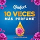 thumbnail image 4 of Suavizante Líquido Concentrado Fiber Protect Botella, 1 L, 4 of 6