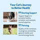 thumbnail image 4 of Suplemento de apoyo renal Pet Wellbeing Gold para gatos, 120 ml, 4 of 9