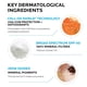 thumbnail image 5 of Protector solar La Roche-Posay Anthelios con color SPF 40 50 ml, 5 of 7