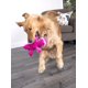 thumbnail image 2 of Juguete de peluche para perros GoDog Gators Squeaky con protector para masticar, rosa, tamaño grande, 2 of 3