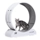 thumbnail image 1 of Rueda De Ejercicios Para Gatos, 1 of 3