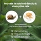 thumbnail image 2 of Suero BENTON Snail Bee Ultimate Plus 35 ml con secreción de caracol, 2 of 3
