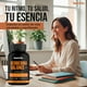 thumbnail image 3 of 2X Berberina Balance+ 120 Cápsulas 500 Mg Nutrilife+ Suplementos, 3 of 9