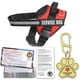 thumbnail image 1 of Chaleco Opstin para perros de servicio, etiqueta de identificación, 50 tarjetas de información ADA, 1 of 3