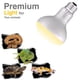 thumbnail image 5 of Bombilla de calor ReptiKing 75 W (2 unidades) luz diurna 120 V, 5 of 6