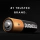 thumbnail image 2 of Batería alcalina Duracell CopperTop C de 1,5 V, paquete de 12, 2 of 6