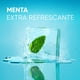 thumbnail image 5 of Shampoo Head & Shoulders Anti-Comezón con menta, 375 ml, 5 of 5