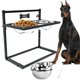 thumbnail image 1 of Comedero Elevado para Perros SHAINFUN Ajustable 3000 ml Acero Inoxidable, 1 of 5