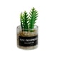 thumbnail image 5 of Mini Juguetes Para Casa De Mu?ecas Modelo De Paisaje Estático Modelado Mini Plantas Artificiales Estilo F, 5 of 5