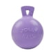 thumbnail image 1 of Juguete para perro Jolly Pets 15 cm color lila claro con asa, 1 of 1