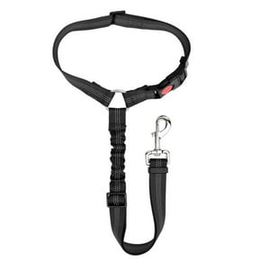 Correa Leash Para Mascotas Pro Outdoor Negro L