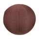 thumbnail image 3 of Funda para Pelota de Yoga Y Pilates, Funda para Pelotas para Sentarse, Antiarañazos, a Prueba de Polvo, con Cómodas Asas de Transporte, Funda para Pel Café 65cm, 3 of 5