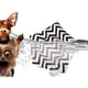 thumbnail image 4 of Tienda De Campaña Tipi Mascotas Perros Cama Gatos, 4 of 4