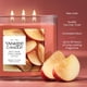 thumbnail image 3 of Candle Yankee Candle, tarro de 3 mecha, 40 horas de combustión, canela azucarada, 3 of 7