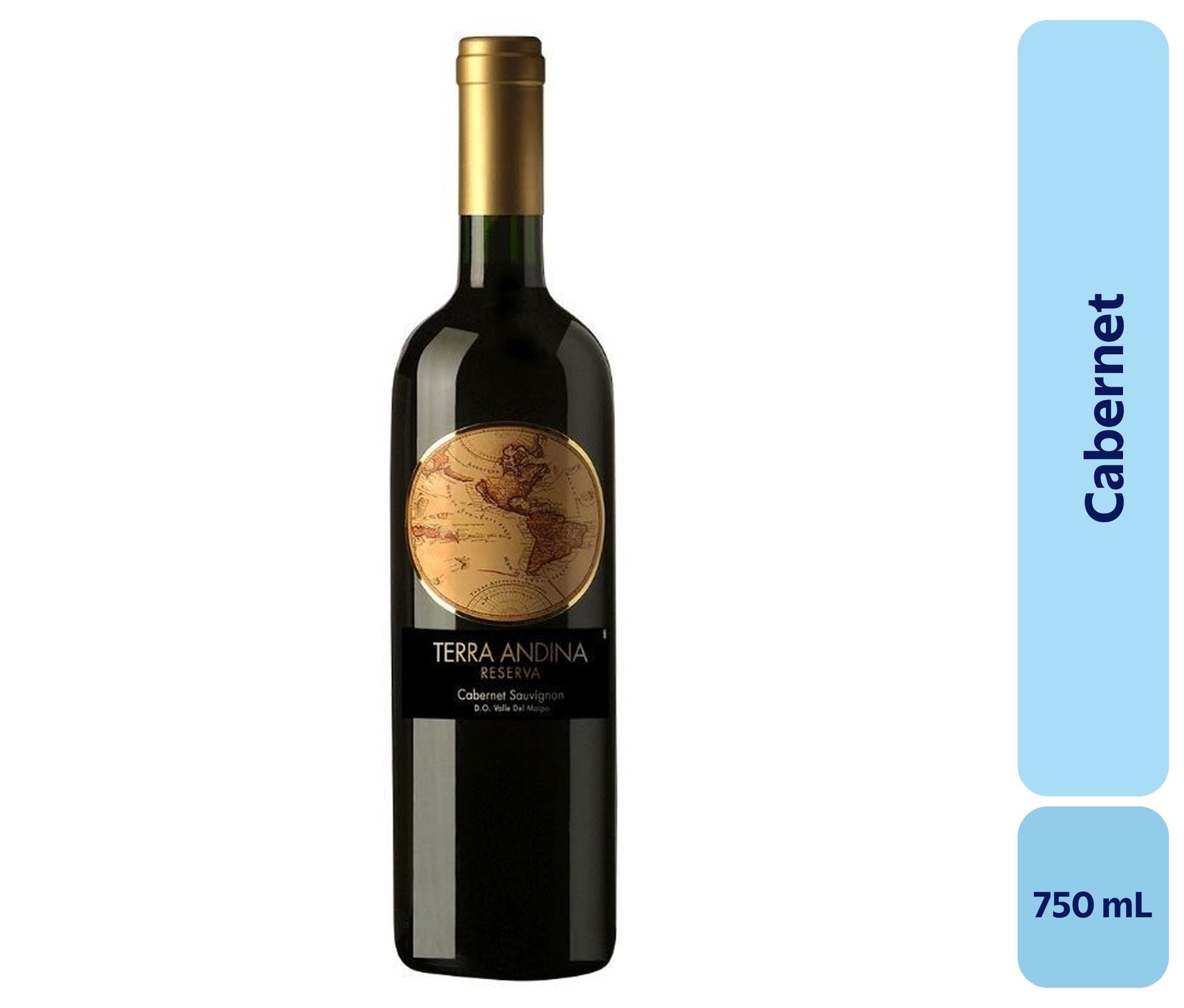 Vino Cabernet Botella 750 mL Terra Andina