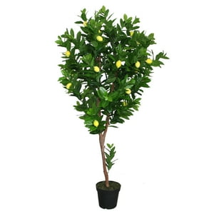 Vadell Home - Arbol Limonero De 190 Cm