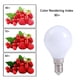 thumbnail image 4 of Bombilla LED YDJoo 3W E12 G50 Luz Cálida – Pack de 6, 4 of 7