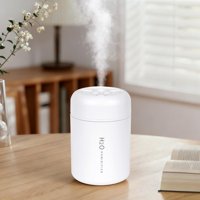 Humidificador Riecin Portable Mini Usb Cool Mist De 300 Ml Con Luz