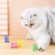 thumbnail image 2 of 40 juguetes de resorte para gatos y gatitos, juguetes de resorte helicoidal de plástico para gatos, juguetes para gatos, ¡los juguetes de resorte para gatos son excelentes regalos para los gatos!, 2 of 5