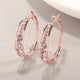 thumbnail image 1 of 1pair Men's Earrings Exquisite Explosive Style Wind Rhinestone Men's And Women's Earrings Large Circle Earrings Ear Jewelry, 1 of 5