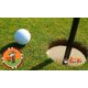 thumbnail image 3 of Juego de golf Vegas Golf High Roller Edition con 15 fichas, 3 of 9