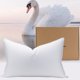 thumbnail image 1 of Almohada PlushHavenCloud Queen Mediana 900+ de Potencia de Relleno, 1 of 7