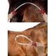 thumbnail image 4 of Deslanador tipo cuchilla NRTFE para perros y caballos de acero inoxidable, 4 of 9