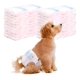 thumbnail image 5 of X60 PaÃ±ales Para Perros PaÃ±ales Para Perro PaÃ±ales Gato S, 5 of 7