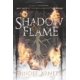 thumbnail image 1 of Libro Clarion – Shadow & Flame: The Wilder Queen (Fantasía YA), 1 of 1