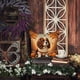 thumbnail image 5 of Almohada Decorativa Cavalier Spaniel Fall, 5 of 6
