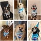 thumbnail image 2 of ADOGGYGO Dog Birthday Hat, Blue Birthday Boy Bandana with Bow Tie, 2 of 3