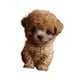thumbnail image 5 of Juguete Electrónico De Peluche Para Perro, Que Camina Y Mueve La Cola, Bonito Para Mujeres, Niños Y Adultos, Color Marrón, 5 of 5