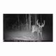thumbnail image 5 of Cámara Trail Browning Strike Force Pro X 1080 24MP, 5 of 6