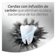 thumbnail image 5 of Cepillo de Dientes ZigZag Medio, 1 Un, 5 of 6