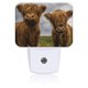 thumbnail image 1 of Luz nocturna Uiaoiais Vacas de las Tierras Altas – Sensor Crepúsculo‑Amanecer, 1 of 7