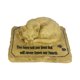 thumbnail image 4 of Piedra Conmemorativa De Gato, Ligera, Presenta Decoración De Condolencia, Marcador De Tumba De Gato Sin Agujero, 4 of 5